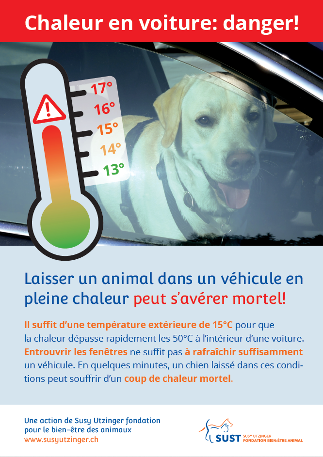Affiches et flyers: Chaleur en voiture: danger!