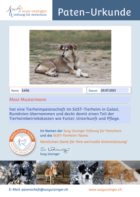 Tierheim-Patenschaft