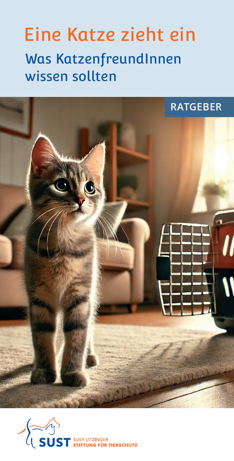 Broschüre &quot;Eine Katze zieht ein&quot;