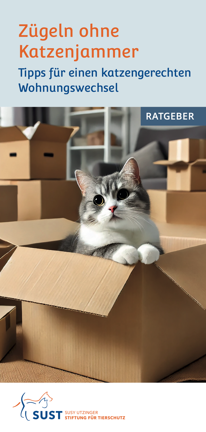 Broschüre &quot;Zügeln ohne Katzenjammer&quot;