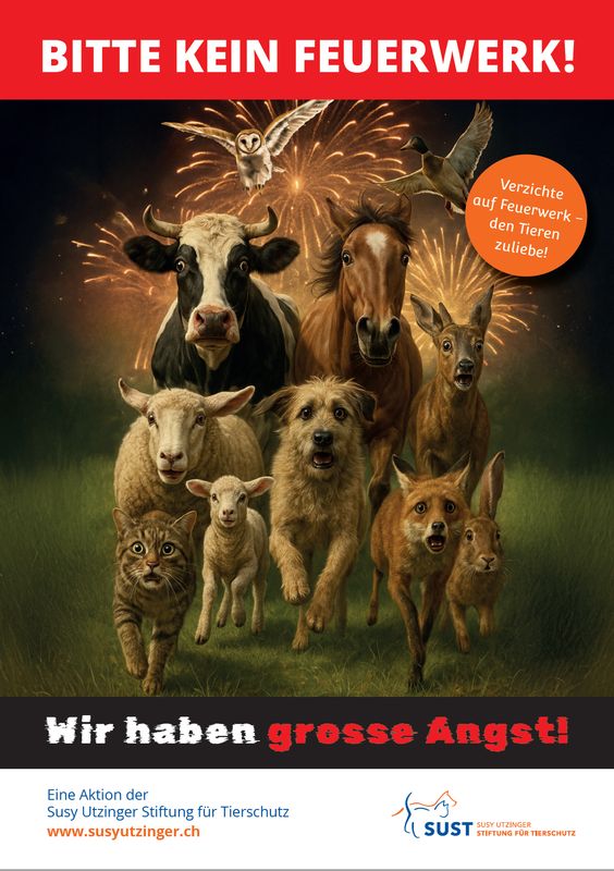 Motiv &quot;Bitte kein Feuerwerk&quot; (Format A4, A5 und digital)