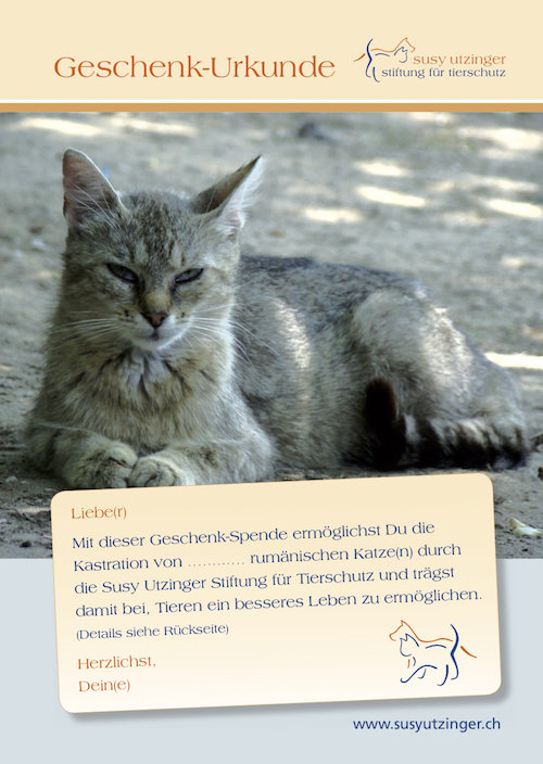 Geschenk-Urkunde für Kastrationen rumänischer Katzen