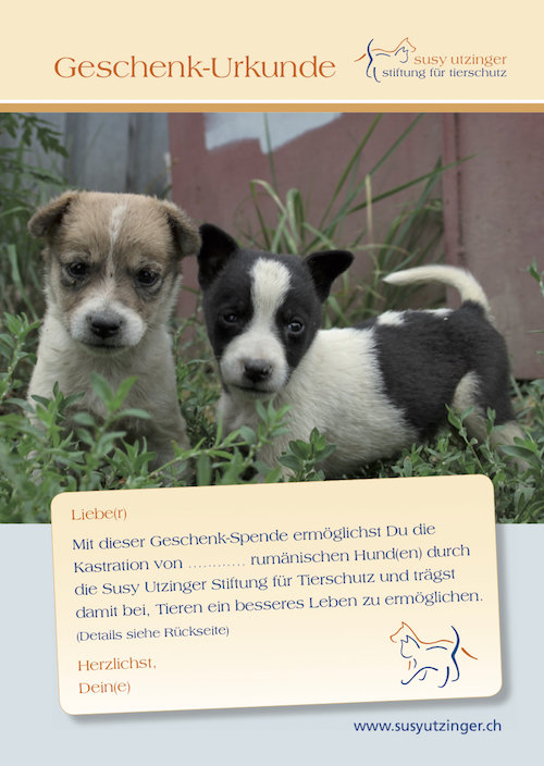 Geschenk-Urkunde für Kastrationen rumänischer Hunde