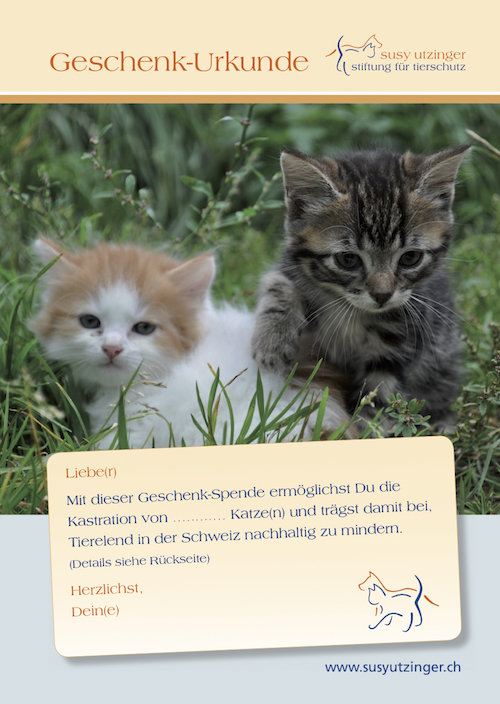 Geschenk-Urkunde für Kastrationen Schweizer Katzen