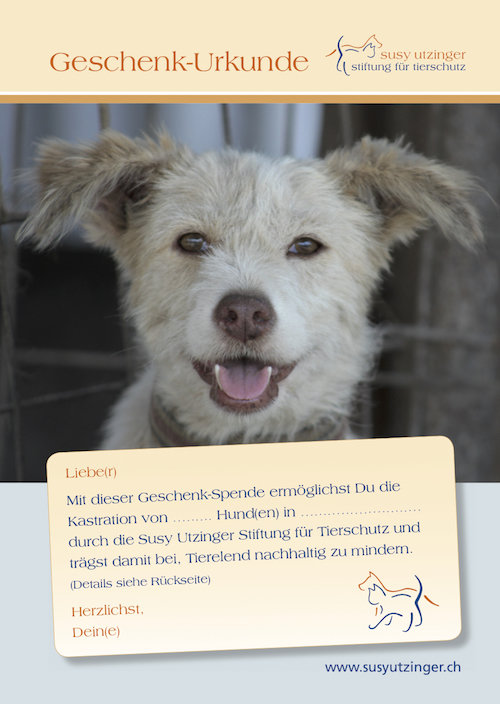 Geschenk-Urkunde für Kastrationen ungarischer Hunde