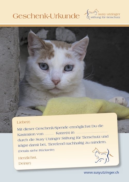 Geschenk-Urkunde für Kastrationen ungarischer Katzen