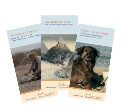 Broschüren, Plakate, Flyer, Kampagnen