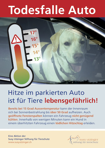 Poster und Flyer &quot;Todesfalle Auto&quot;