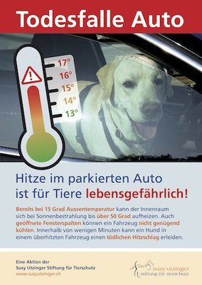 Poster und Flyer &quot;Todesfalle Auto&quot;