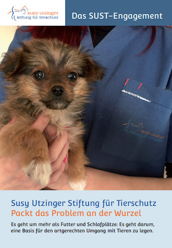 Das SUST-Engagement / SUST-Info-Flyer
