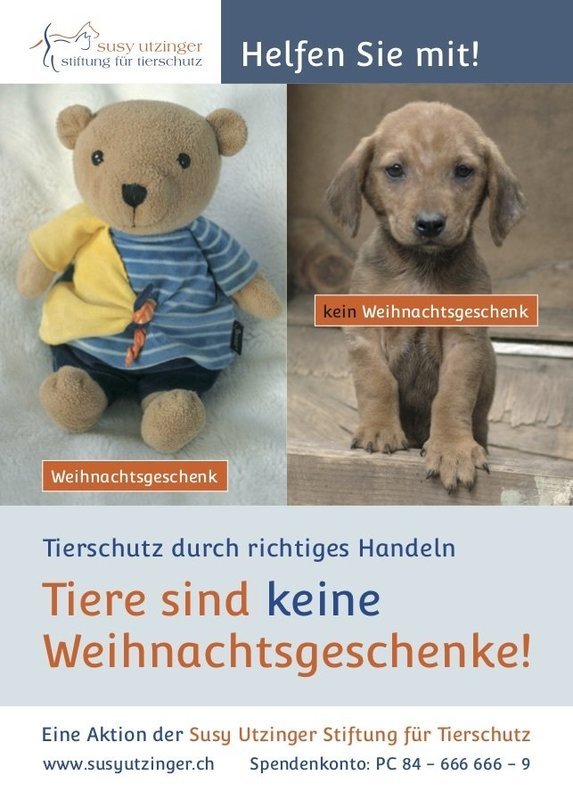 Bestellpostkarte - Poster &quot;Tier sind keine Weihnachtsgeschenke&quot;