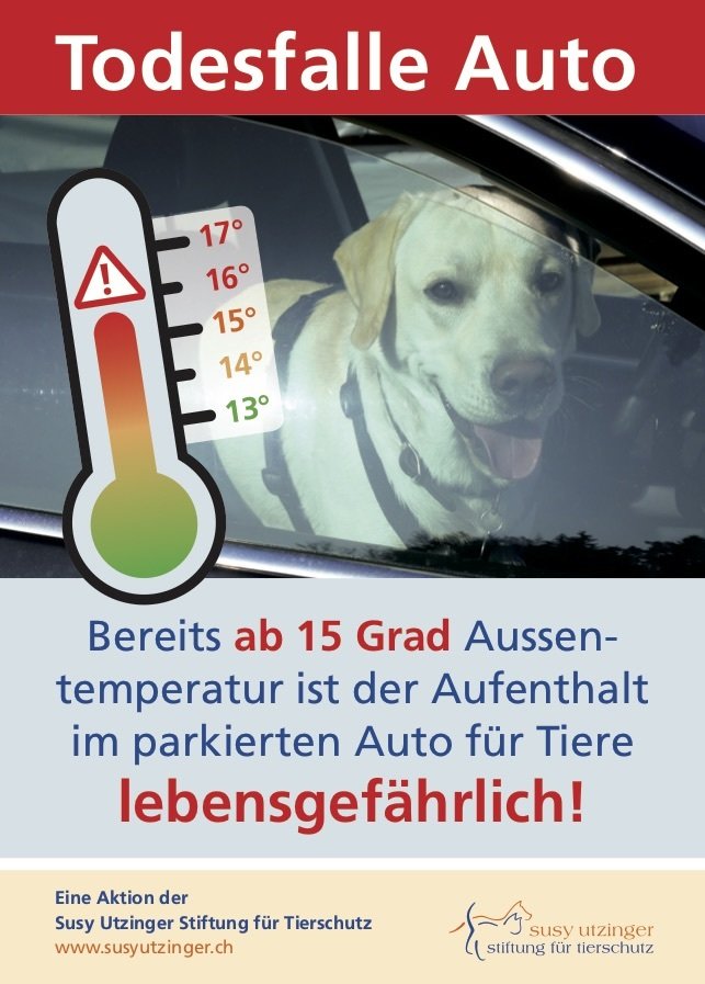 Bestellpostkarte - Poster &quot;Hitze&quot;