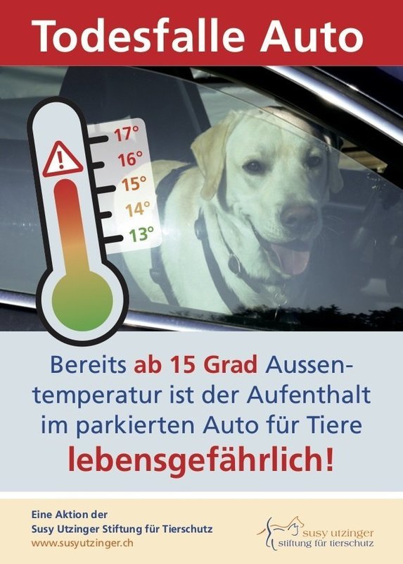 Bestellpostkarte - Poster &quot;Hitze&quot;
