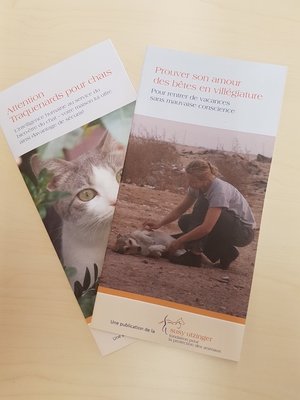 Brochures