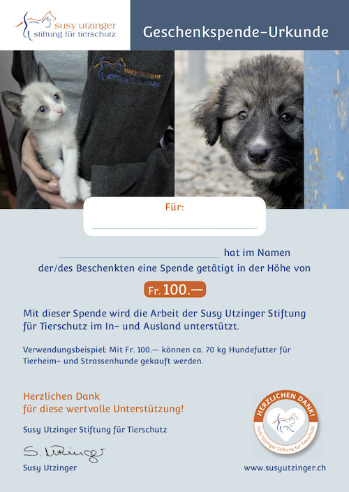 Geschenkspende-Urkunde im Wert von Fr. 100.-- zum selber Ausdrucken