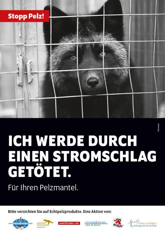 Stopp Pelz! Plakat, Motiv Fuchs