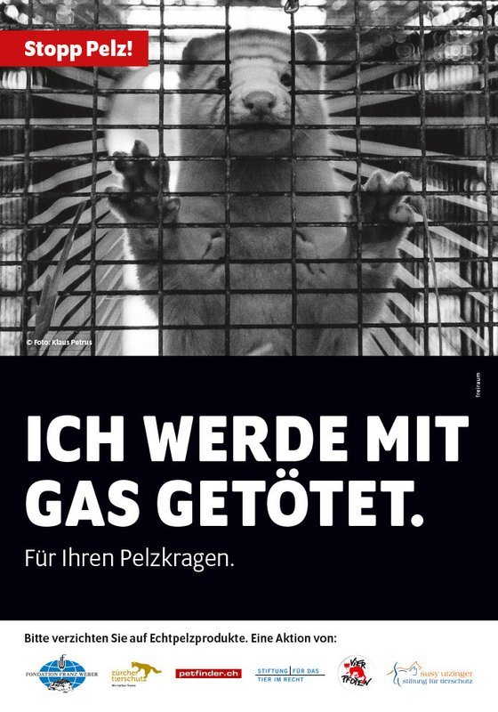 Stopp Pelz! Plakat, Motiv Nerz