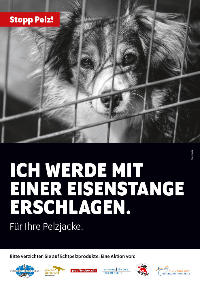 Stopp Pelz! Plakat, Motiv Hund