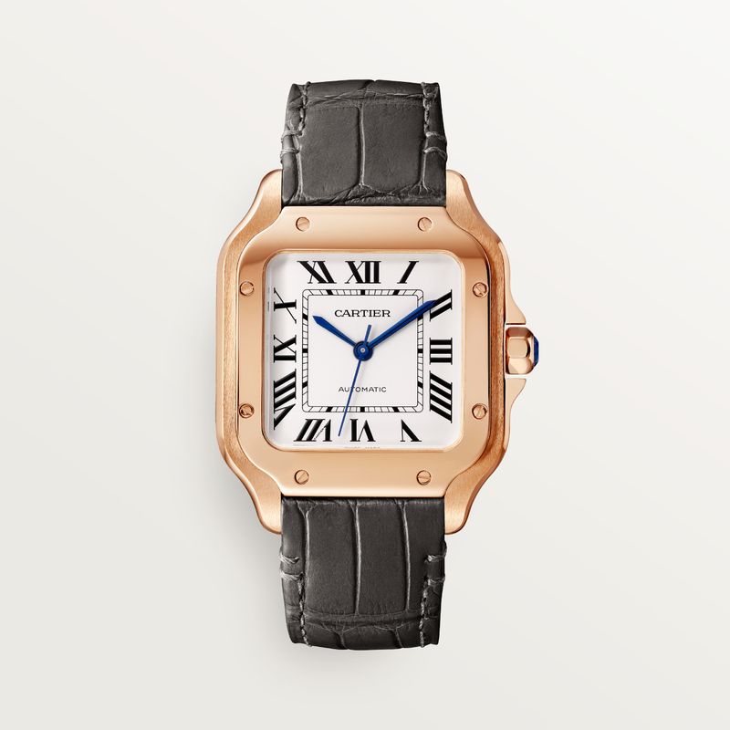 Santos de Cartier Watch