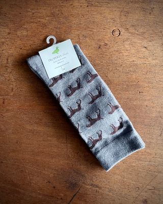 Lucky Duck Sock, Pointer