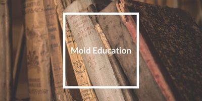 Mold Education graphic highlighting Dr. Close’s research on natural approaches to indoor environmental quality