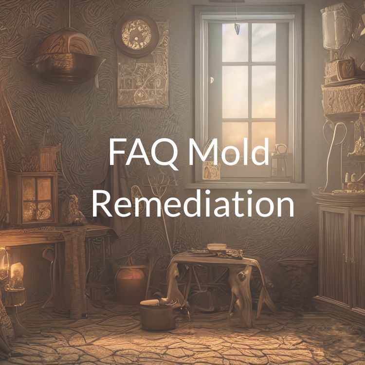 FAQ for Mold Remediation