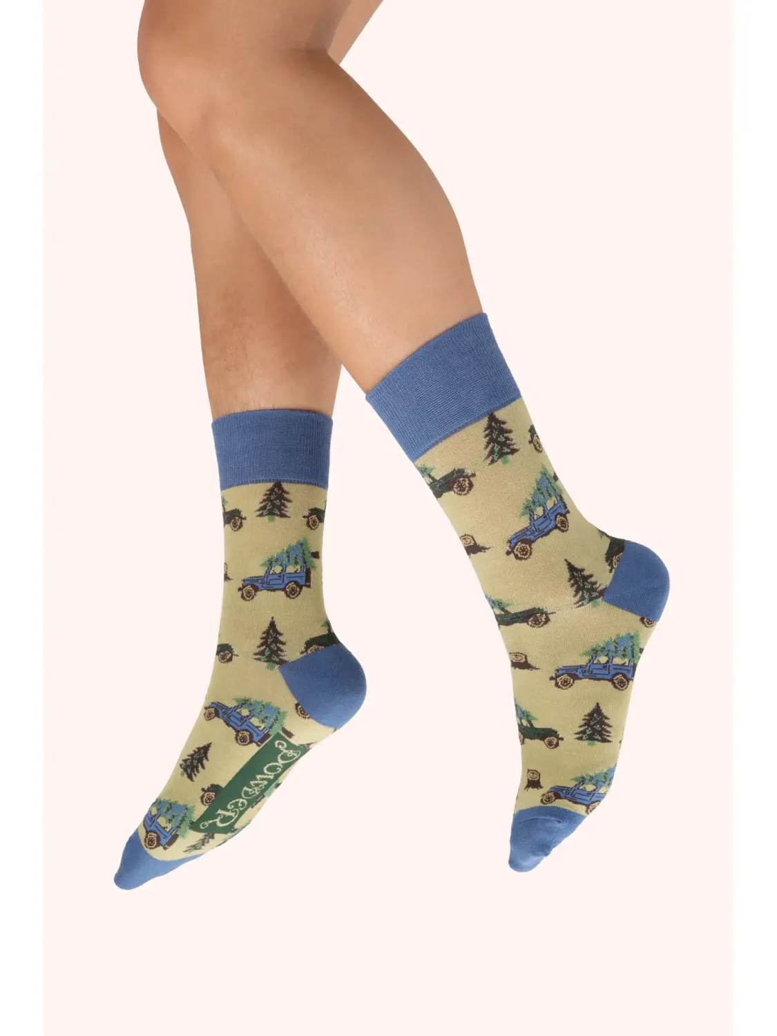 Fa la la la Landy Men&#39;s Socks