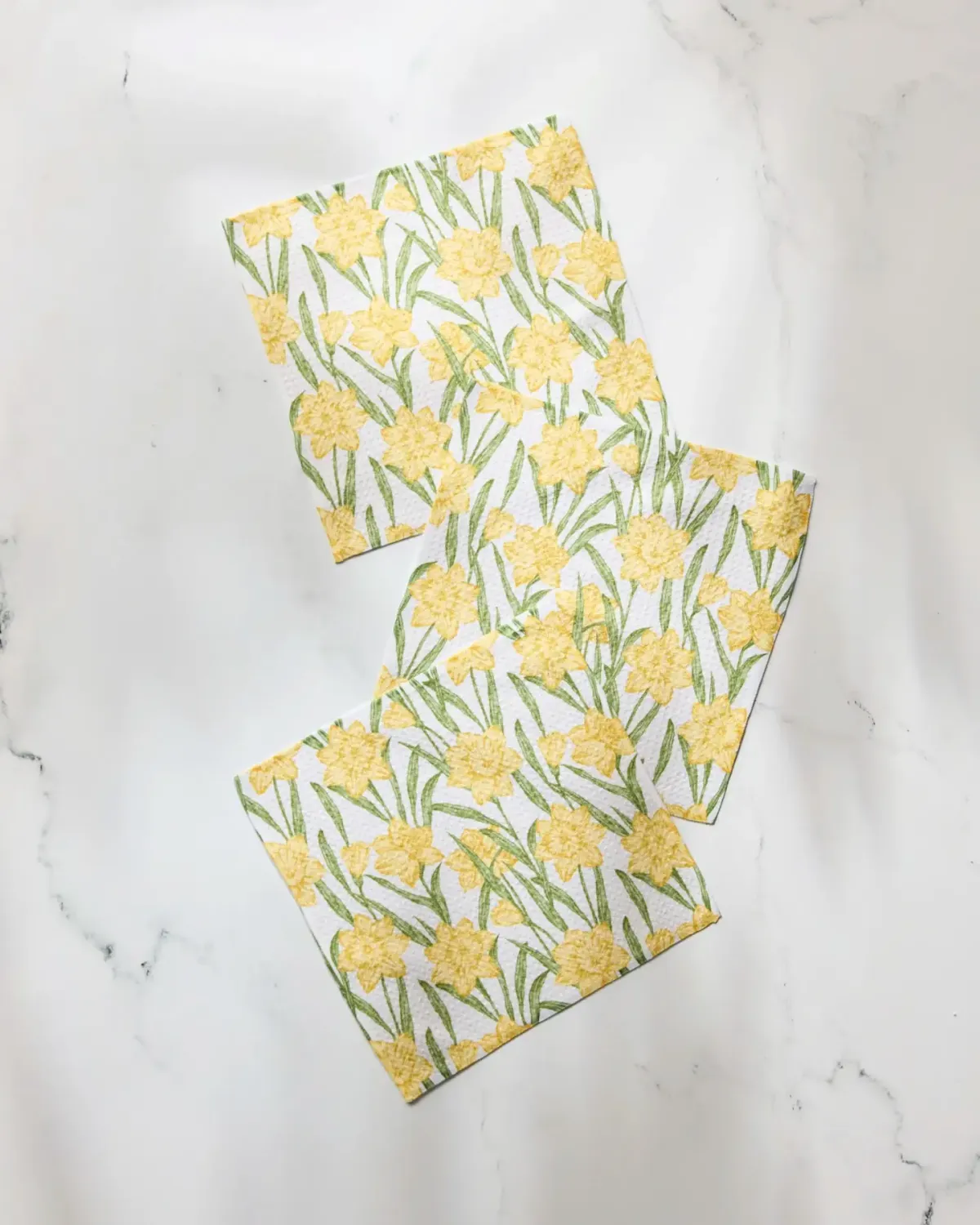 Daffodil Darling Dishcloth Set