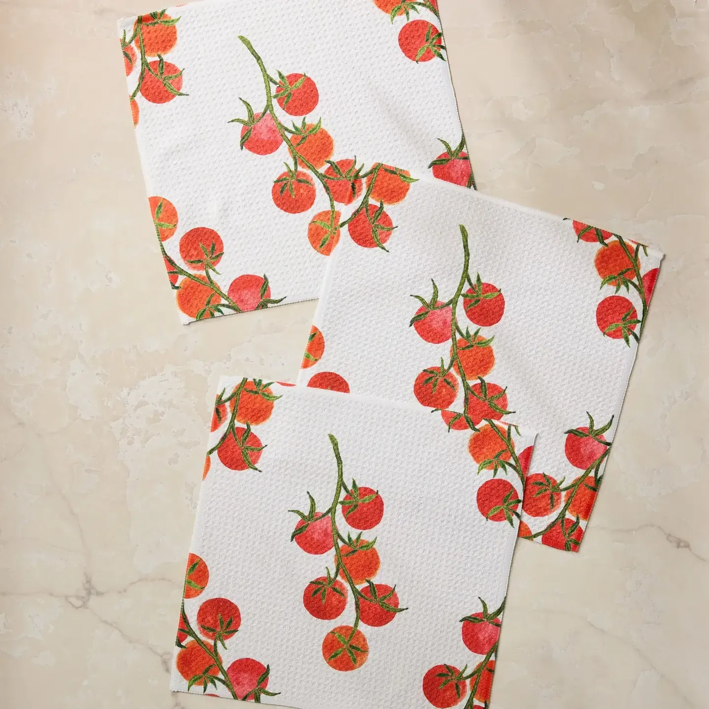 Ripe and Ready Geometry Dishcloth Set