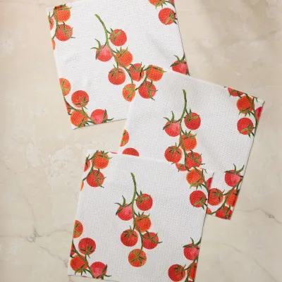 Ripe and Ready Geometry Dishcloth Set