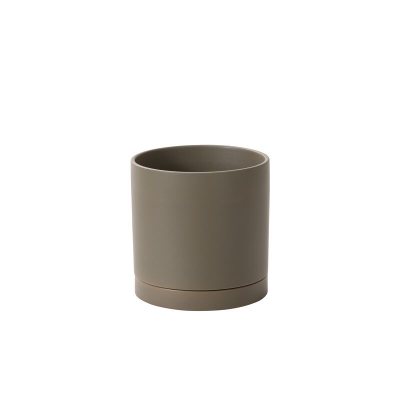 Romey Neutral Pot - 8" x 8" Moss