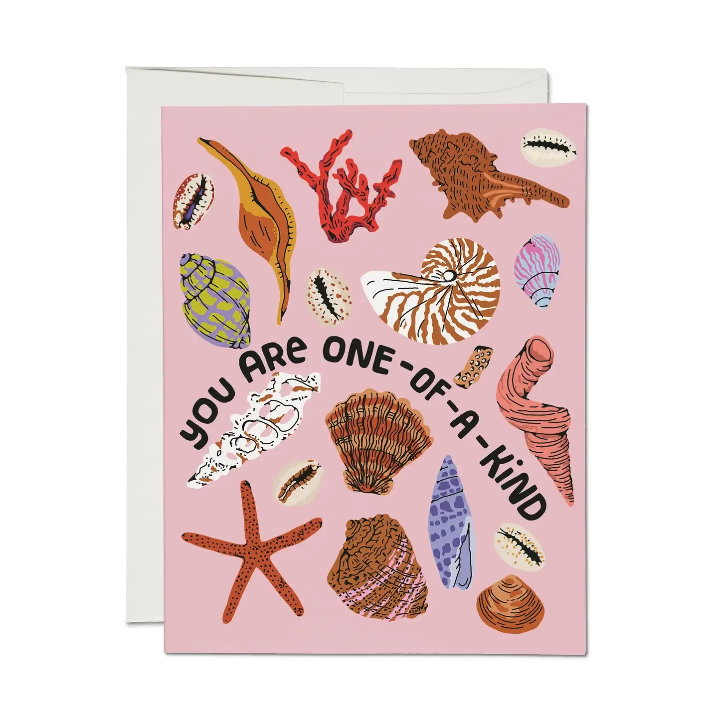 Special Seashell Greeting Card