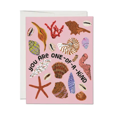 Special Seashell Greeting Card