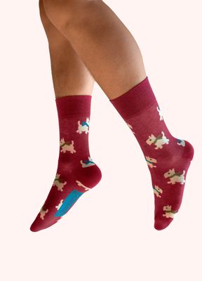 Woolly Westie Men's Socks