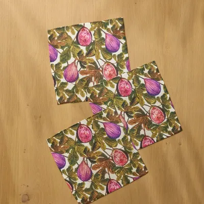 Wild Fig Geometry Dishcloth Set