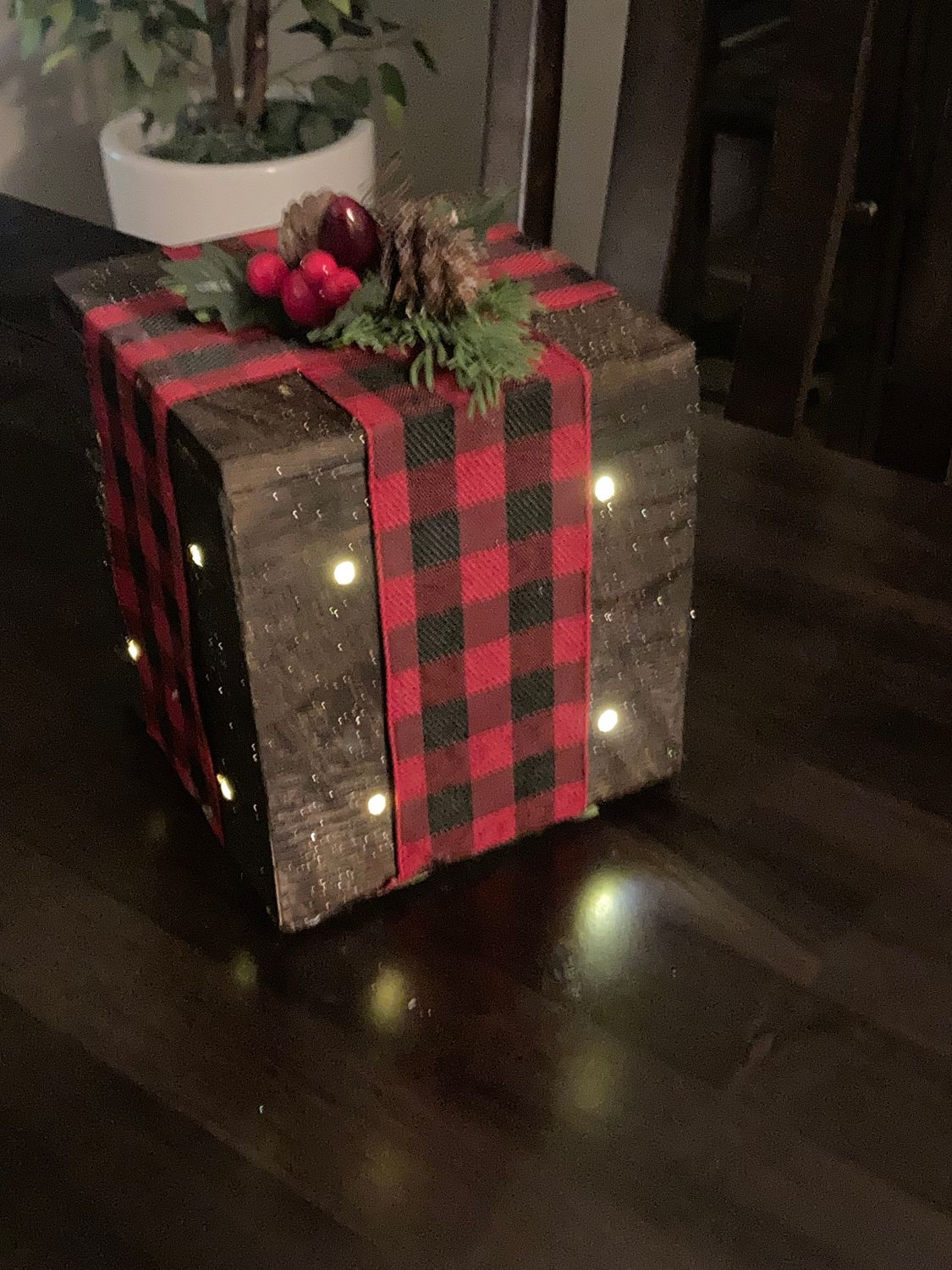 Holiday Lighted Box