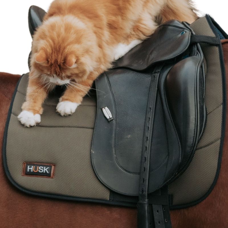 Sage Green Wellness Pro Air Dressage Pad
