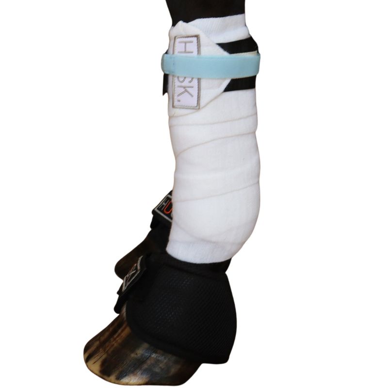 Baby Blue Ethical Boot Security Strap