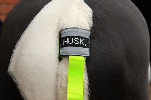 High Vis Tail Ribbon