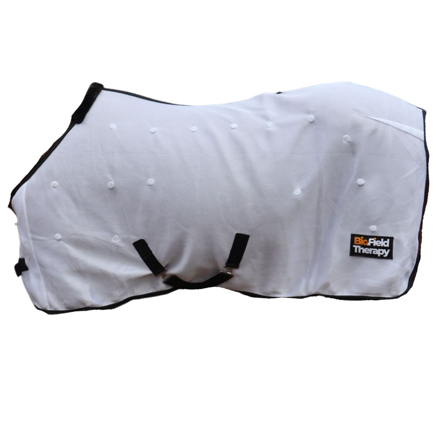 White Biofield Therapy Magnetic Rug