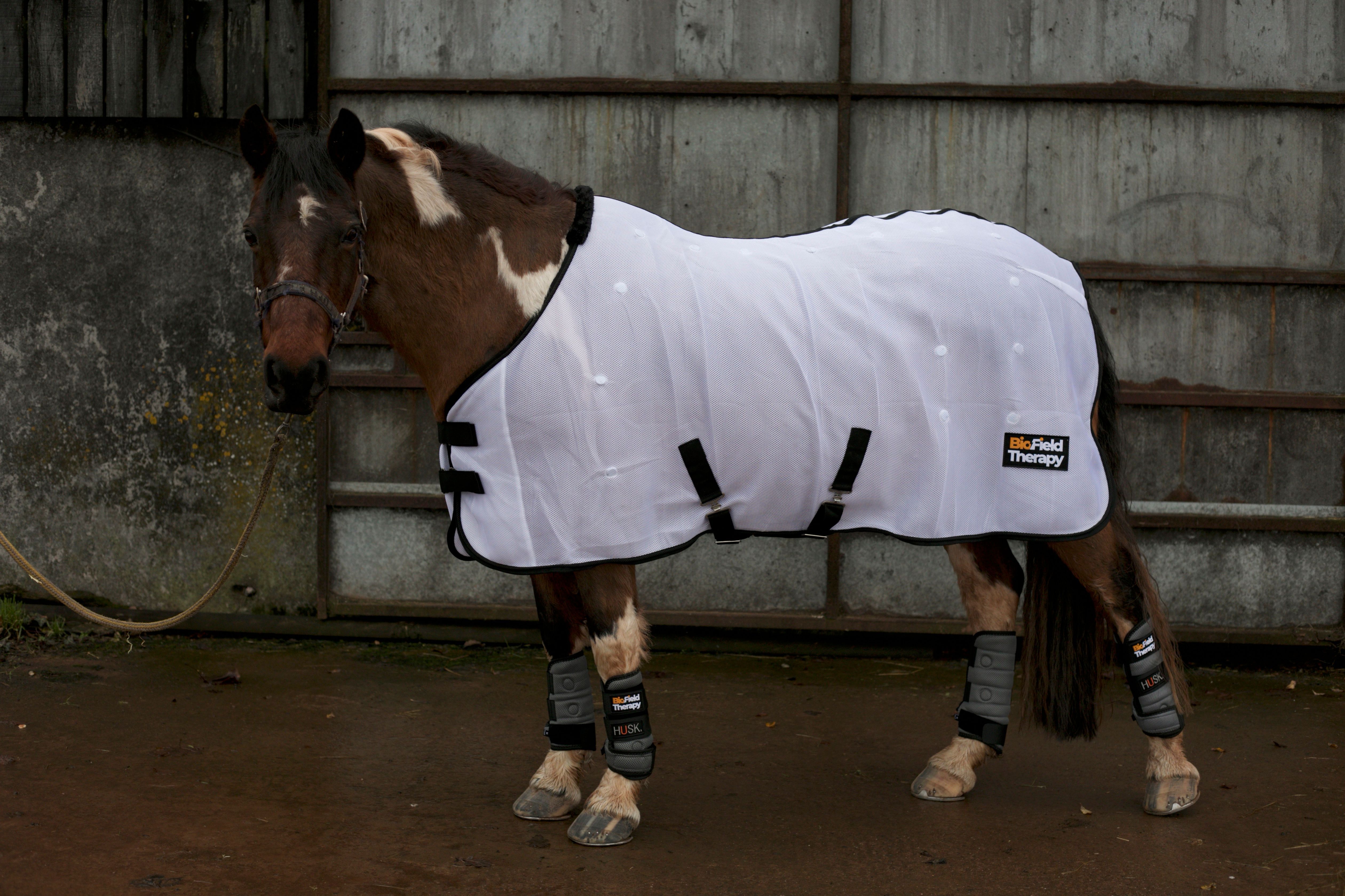 White Biofield Therapy Magnetic Rug