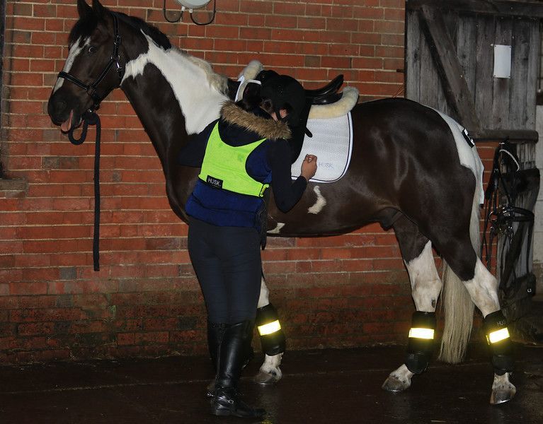 High Vis Medium Riding Vest