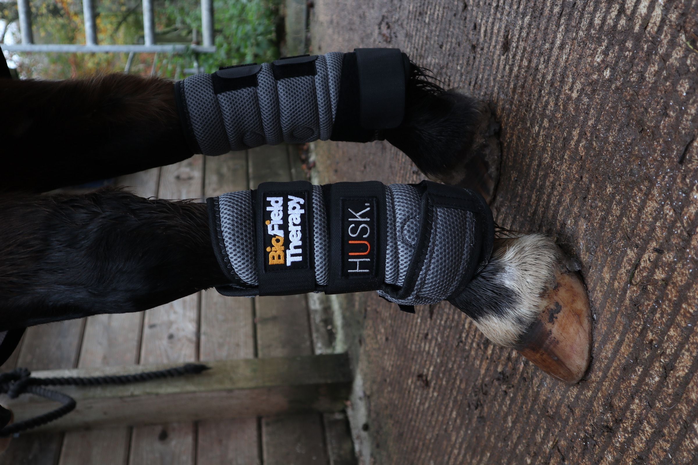 HUSK Biofield Therapy Magnetic Boots