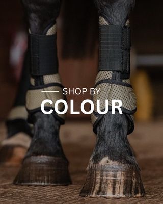 Shop by Colour