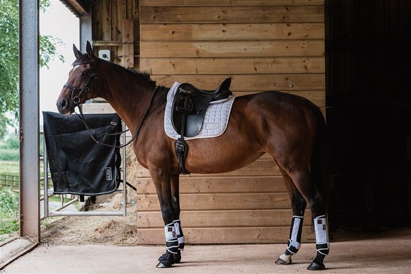 White Basic Air Dressage Pad
