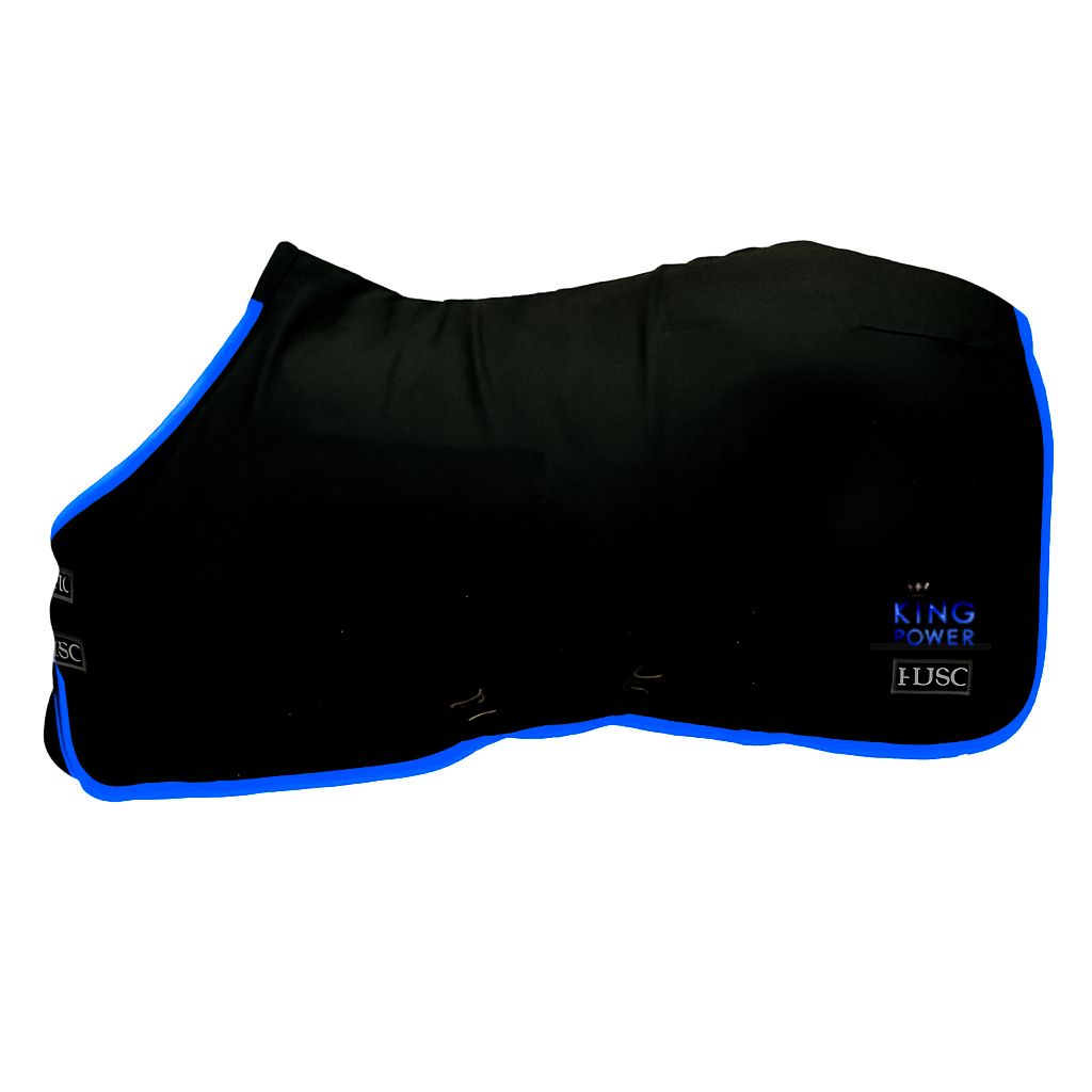 King Power Thermoregulation Rug