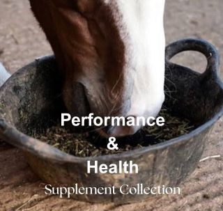 Horse Performance Supplements