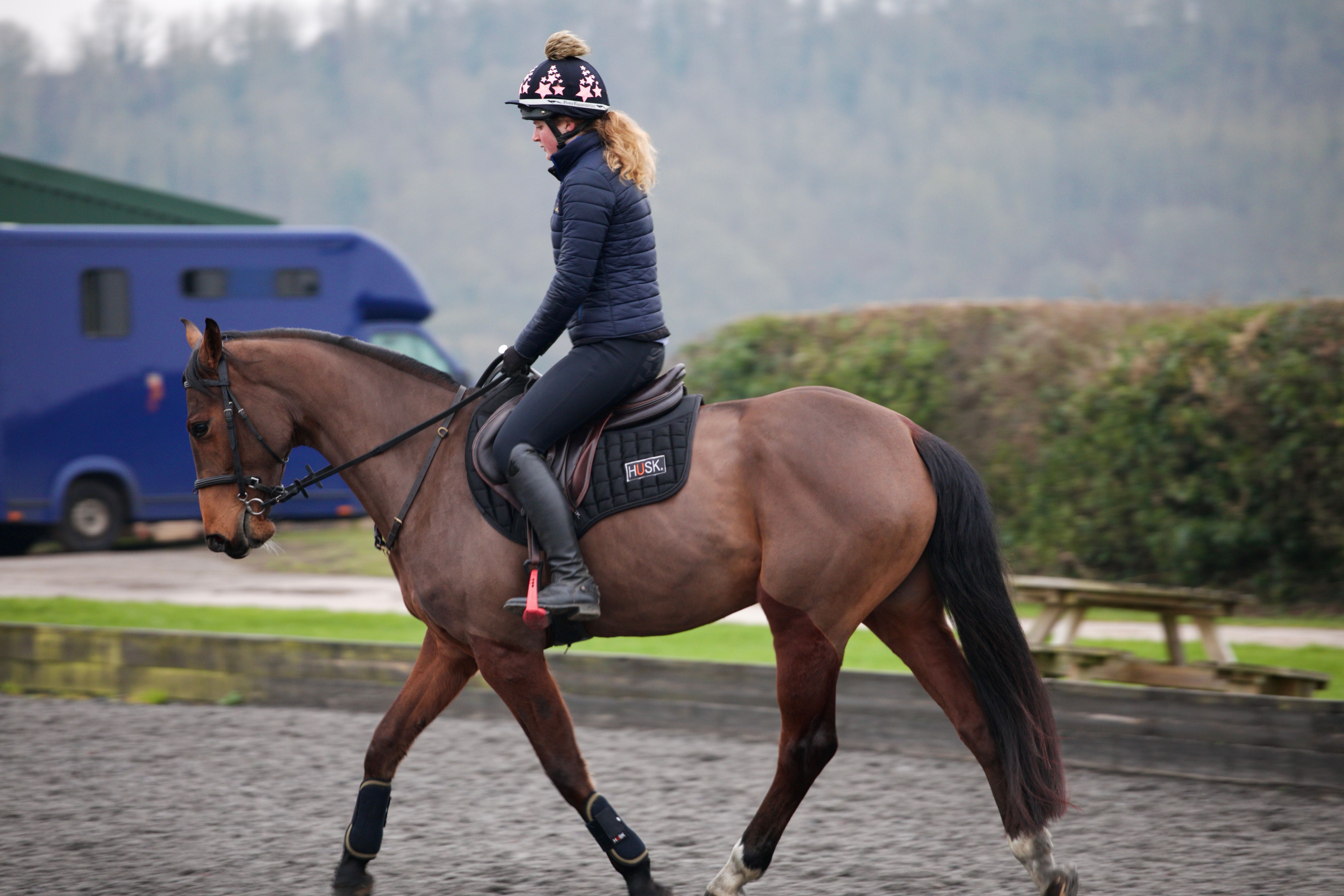 Black Pro Comfort Air Saddle Pad