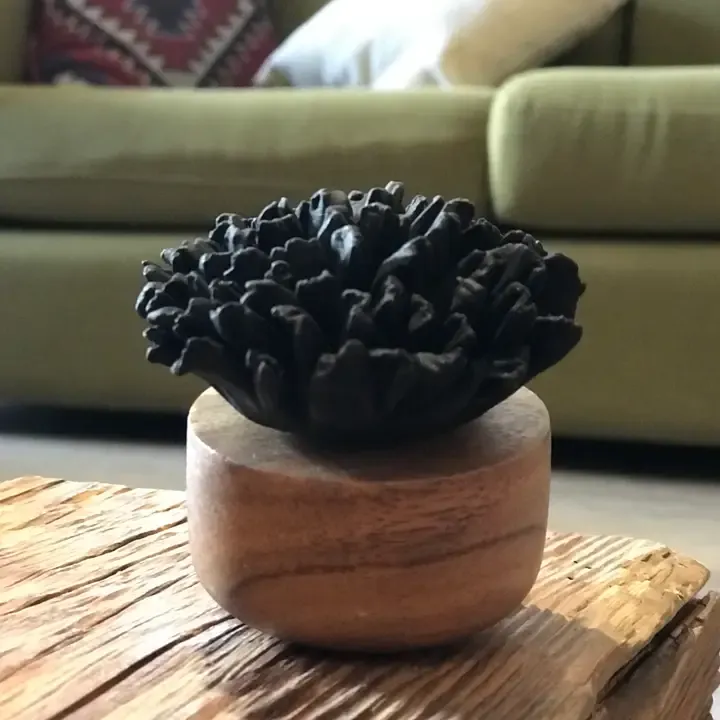 Diffusor - Nelkenblume Schwarz