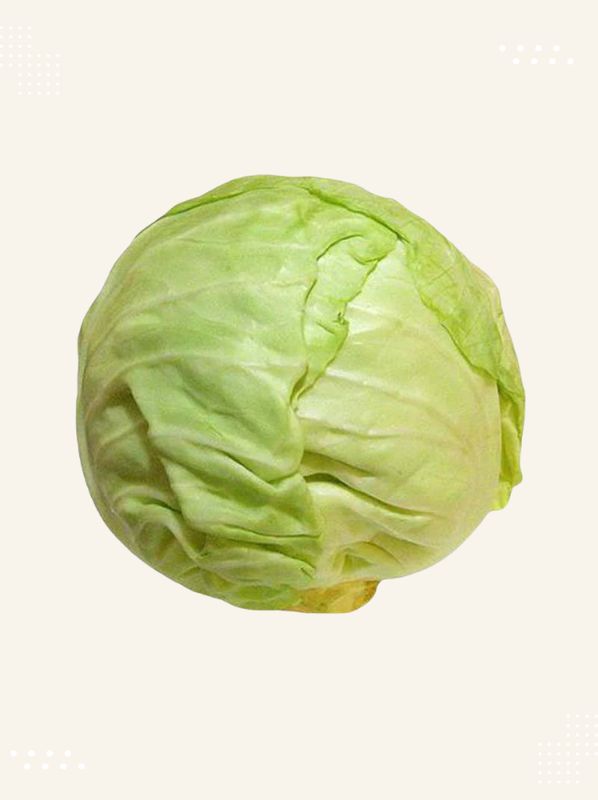 Cabbage - Fresh and high-quality vegetable from Modern Bazaar UK
